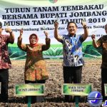 Foto: Bupati bersama Wabup Jombang dalam kegiatan turun tanam tembakau tahun 2019. (Alghoni Luberta/Jurnaljatim.com)