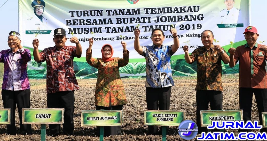 Foto: Bupati bersama Wabup Jombang dalam kegiatan turun tanam tembakau tahun 2019. (Alghoni Luberta/Jurnaljatim.com)