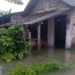 Sungai Marmoyo Meluap, Desa Jatigedong Jombang Terendam Air