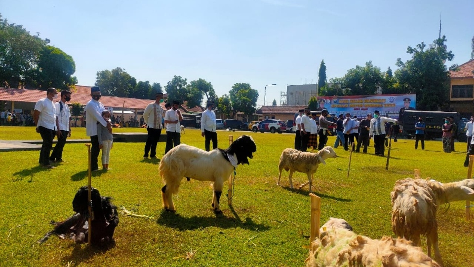 Polres Jombang Berkurban 33 Ekor Hewan Kurban Iduladha 2020