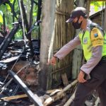 Ditinggal Potong Rambut, Kandang Sapi di Nganjuk Hangus Terbakar