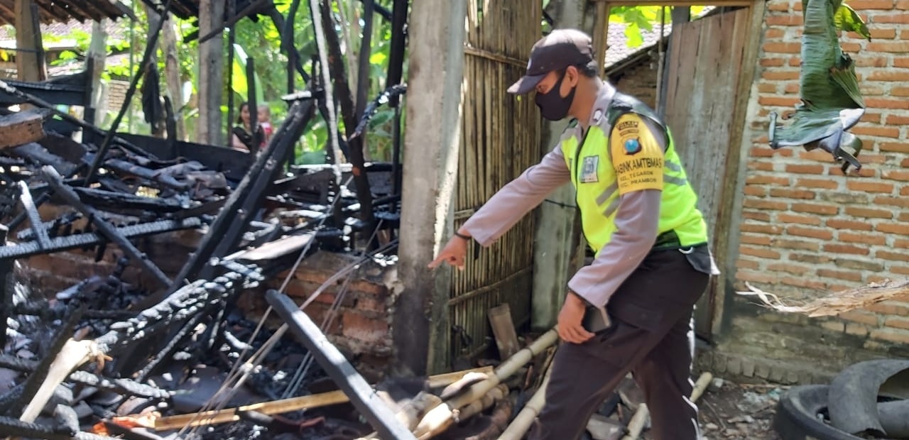 Ditinggal Potong Rambut, Kandang Sapi di Nganjuk Hangus Terbakar