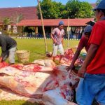 Polres Jombang Berkurban 33 Ekor Hewan Kurban Iduladha 2020