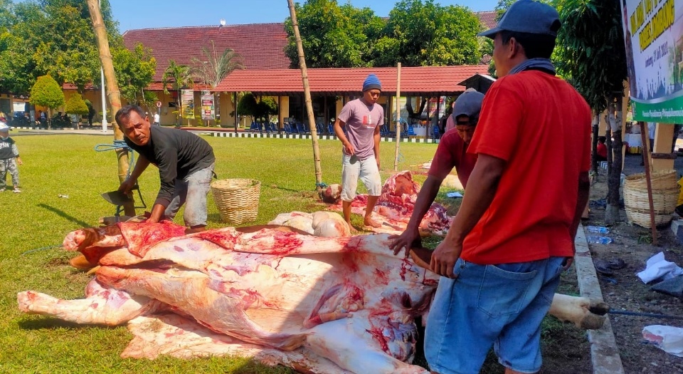 Polres Jombang Berkurban 33 Ekor Hewan Kurban Iduladha 2020