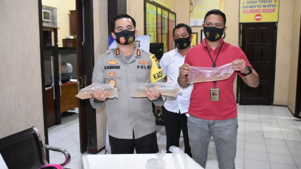Tiga Kali Pengepul Baby Lobster di Trenggalek Ditangkap Polisi