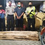 Angkut Kayu di Hutan Plandaan, Pria Lamongan Diamankan Polisi