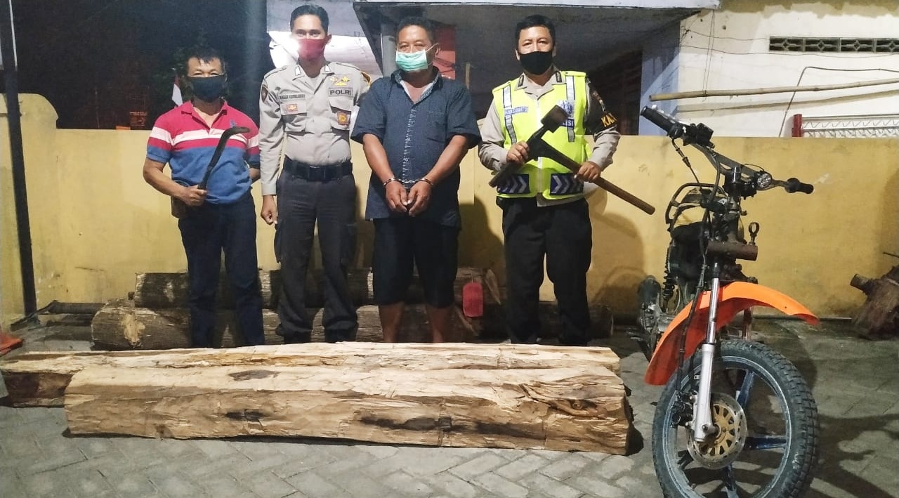 Angkut Kayu di Hutan Plandaan, Pria Lamongan Diamankan Polisi