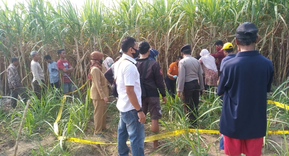 Pria 80 Tahun di Kediri Ditemukan Meninggal di Areal Sawah Tebu