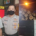 Sopir Truk Pengangkut Kayu Ilegal Ditangkap Polisi di Kabuh Jombang