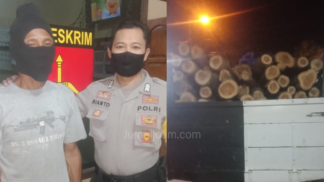 Sopir Truk Pengangkut Kayu Ilegal Ditangkap Polisi di Kabuh Jombang