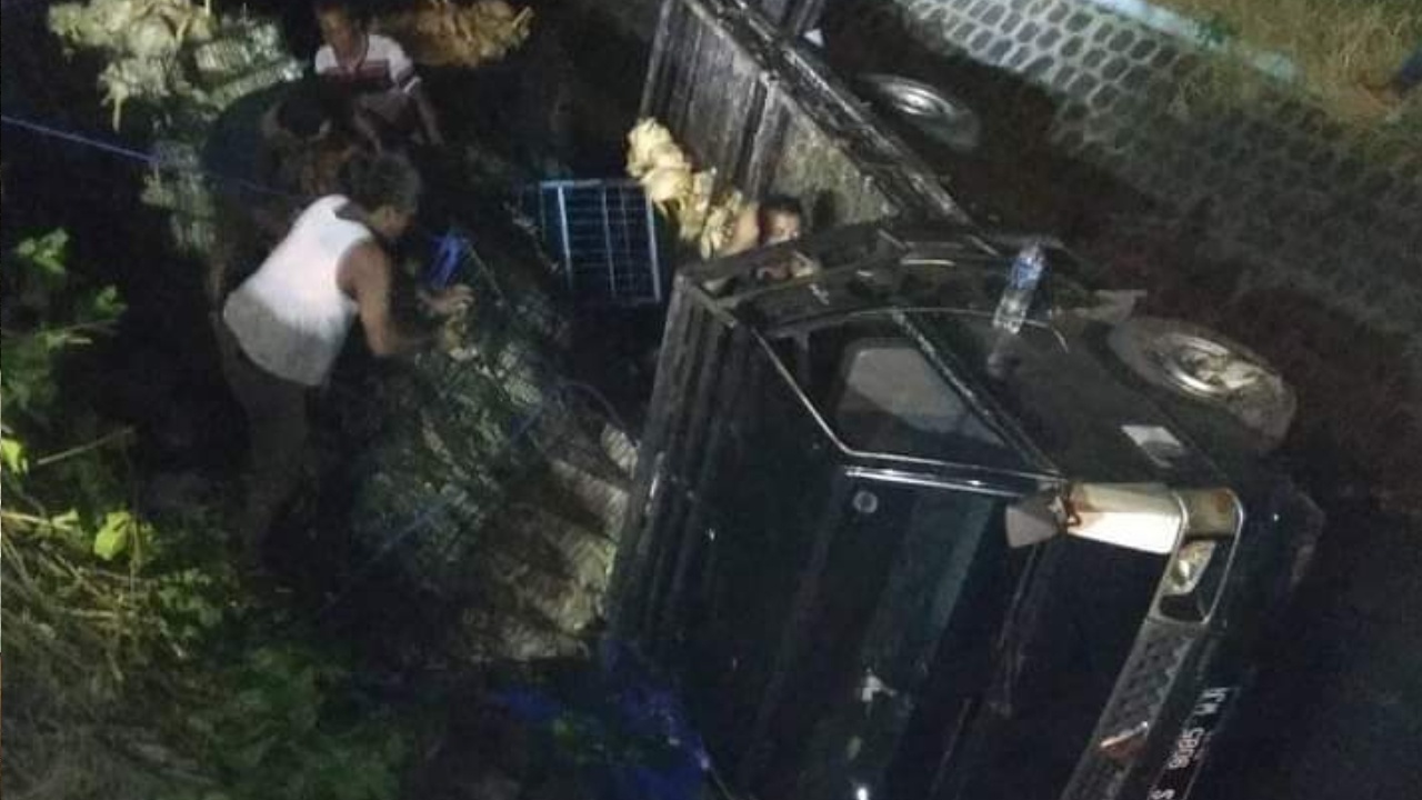 Terlalu Minggir, Pikap Muat Ayam Terjun ke Sungai di Jombang