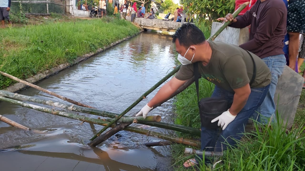 Mayat Kakek 80 Tahun Ditemukan Mengapung di Sungai Tersier Nganjuk