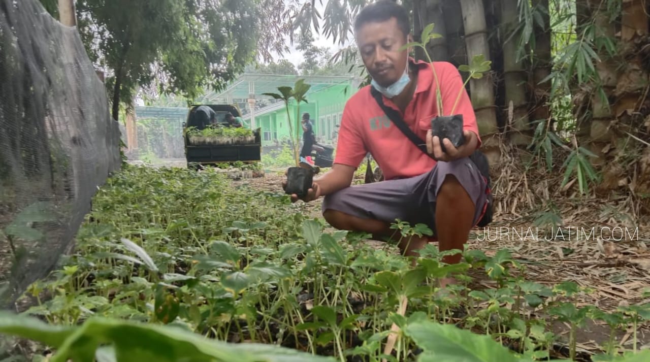 Berawal Pengetahuan Internet, Petani di Jombang sukses Budidaya Porang