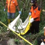 Ngeri, Warga Temukan Mayat Tinggal Tulang Bersepatu Merah di Jombang