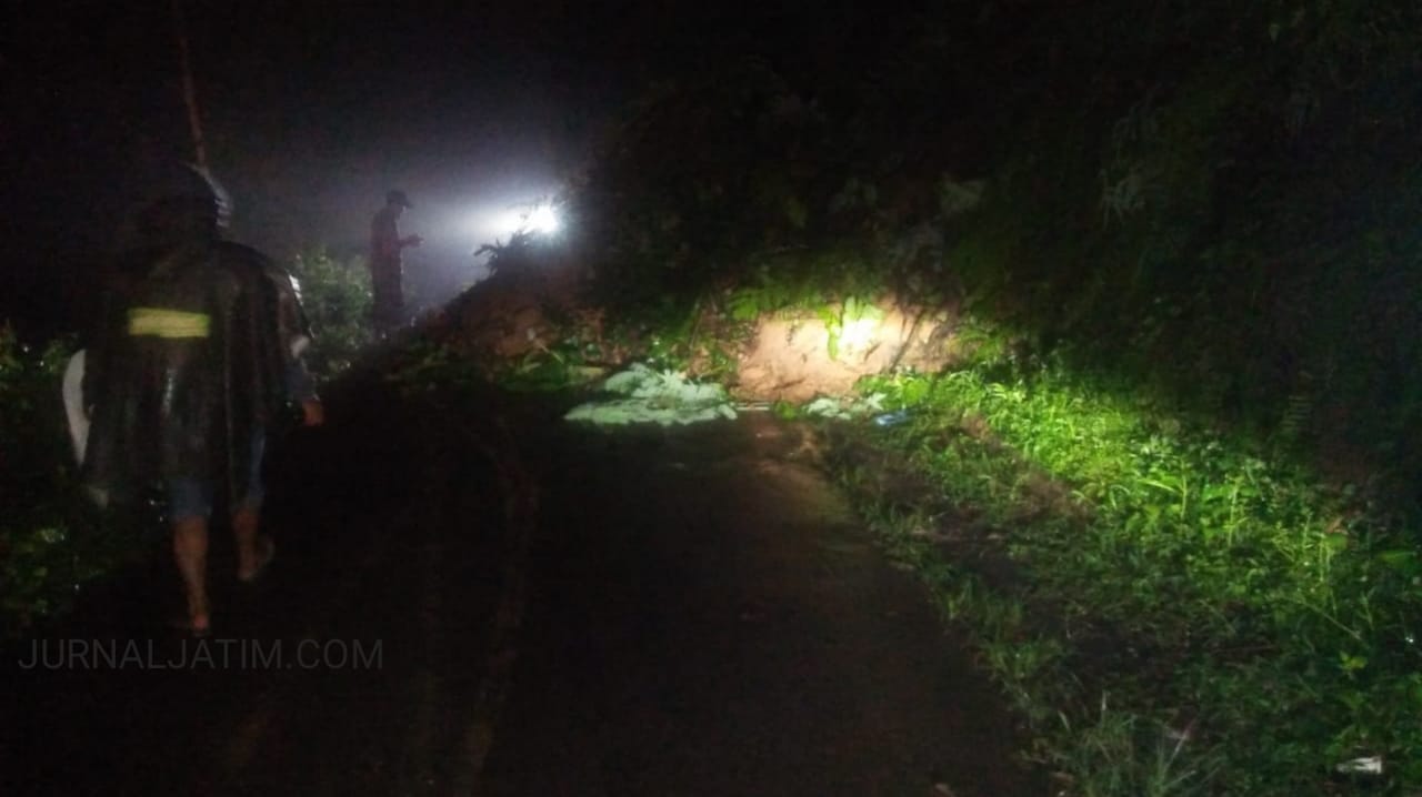 Hujan Deras, Tanah Longsor Tutup Sebagian Jalan di Wonosalan Jombang