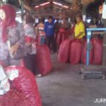 Harga Benih Bawang Merah di Nganjuk Merangkak Naik