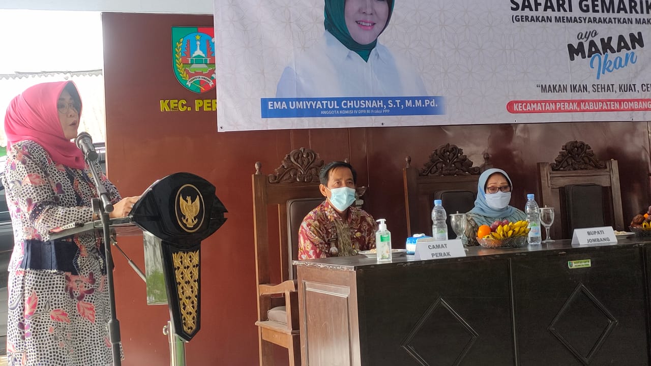 DPR RI Ema Umiyyatul Chusnah Dorong Jombang Budidaya Budikdamber