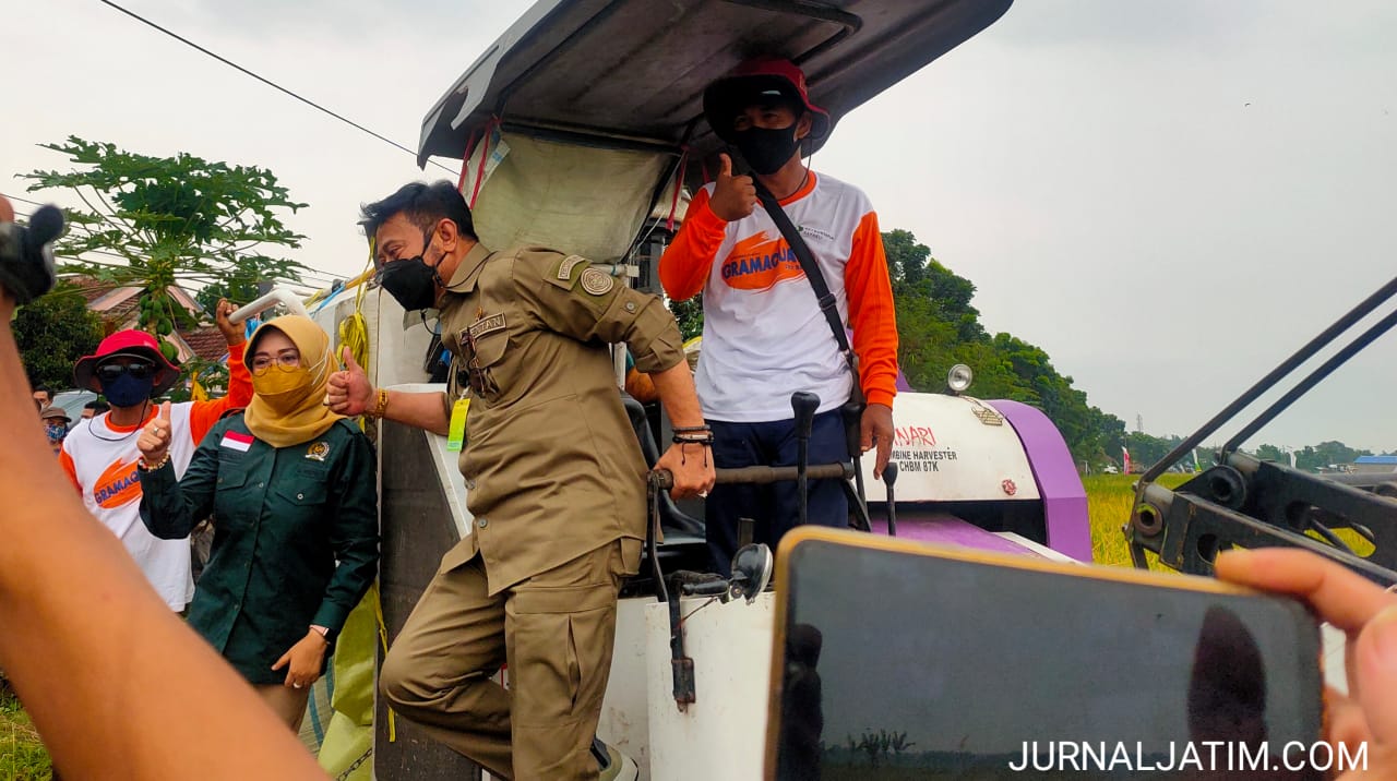 Panen raya padi Jombang, Mentan sampaikan pertanian tak pernah ingkar