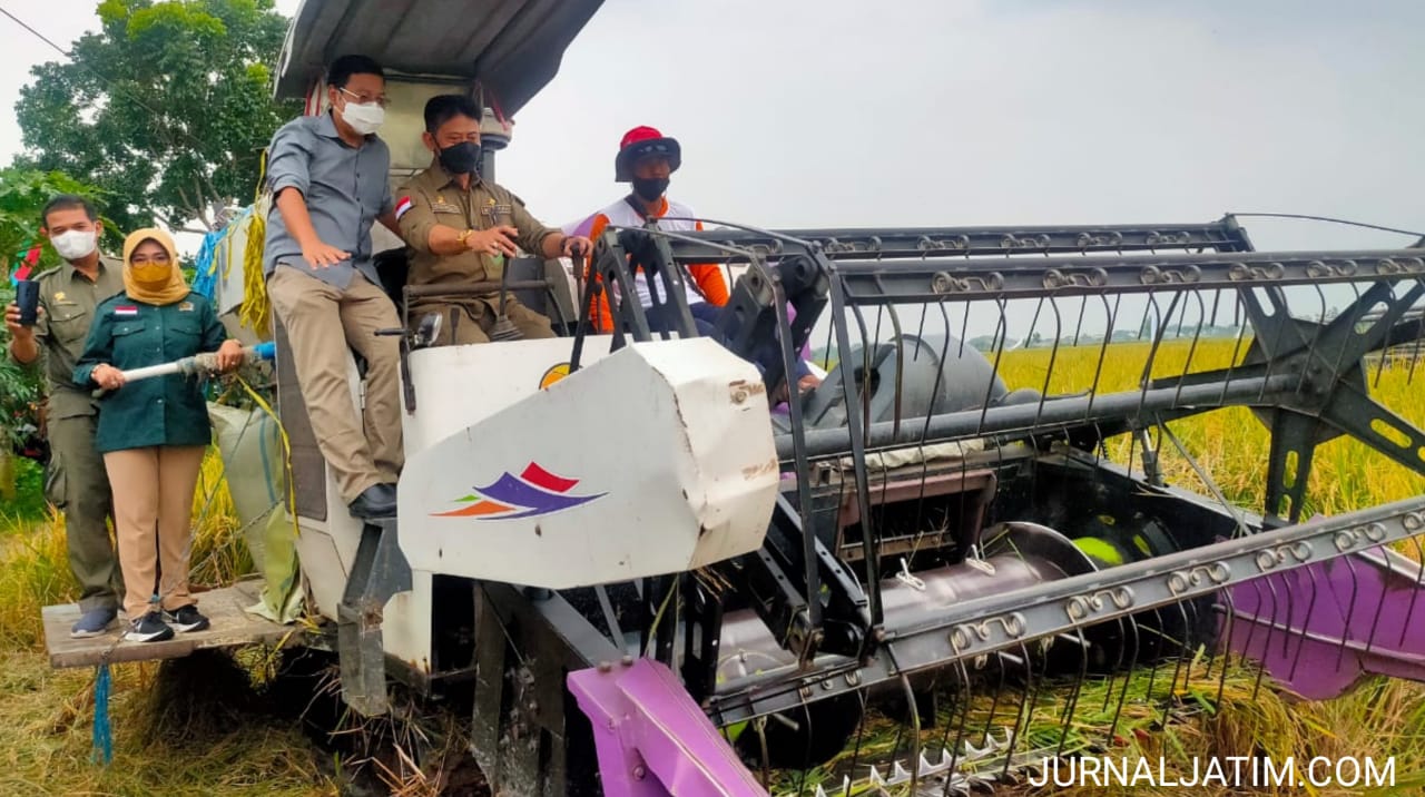 Panen raya padi Jombang, Mentan sampaikan pertanian tak pernah ingkar