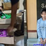 Penjual Petasan Yang Lukai Tangan Bocah MI di Jombang Ditangkap Polisi