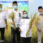 Bupati Jombang Apresiasi Petani Panen Raya Padi Organik di Banjarsari