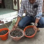 Wow! Warga Temukan Setengah Karung Koin Kuno di Jombang