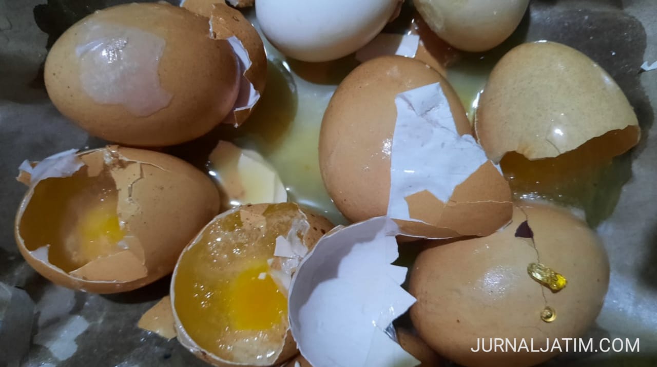 Hati-hati! Ibu Rumah Tangga di Kediri Temukan Telur Ayam Diduga Palsu