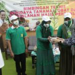 Ning Ema Ajak Ibu-ibu Jombang Tangkap Peluang Budidaya Tanaman Obat