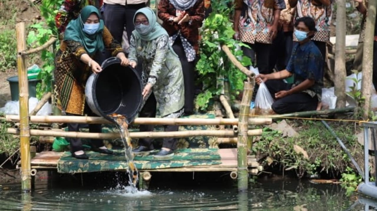 Pemkab Jombang Tebar 7000 Benih Ikan Untuk Tingkatkan Perekonomian