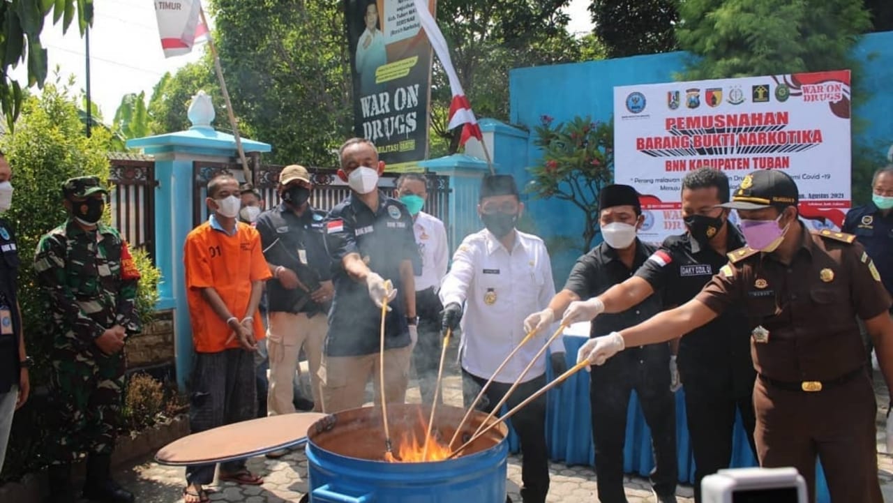 BNNK Tuban Musnahkan 1,5 Kilogram Ganja Dari Tersangka Bob Marozas