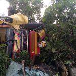 Apes! Hindari Motor, Truk Muat Garam Malah Hantam Pohon di Jombang