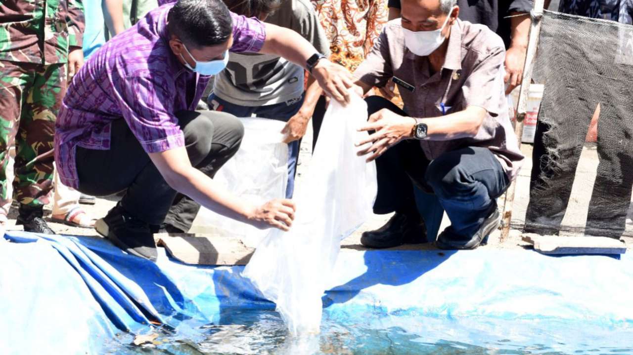 Budidaya Ikan Hias di Kota Kediri Jadi Peluang Bisnis Menjanjikan