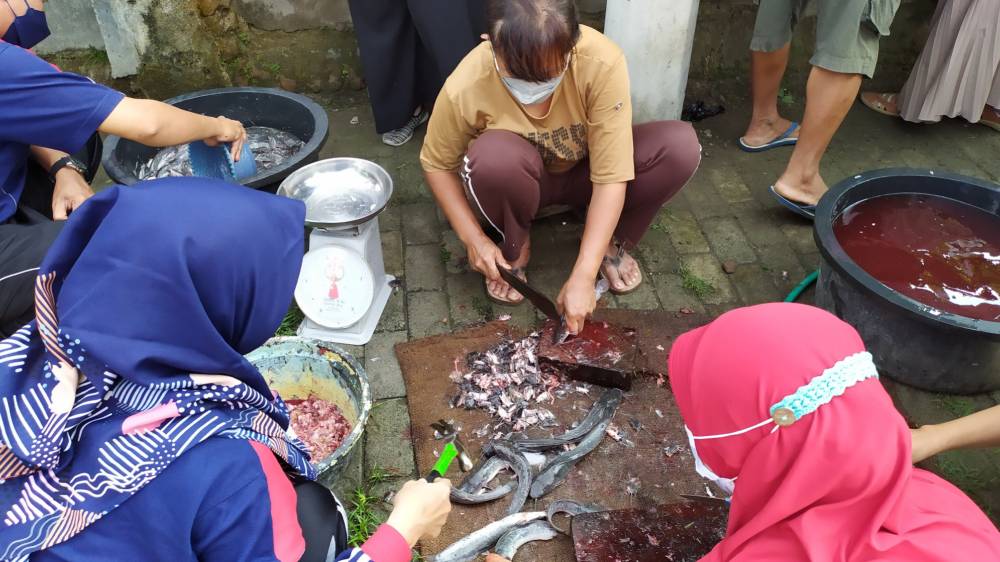 Guru di Kediri Manfaatkan Waktu Luang Ternak Ikan Lele di Kali Mati