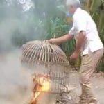 Polisi Gerebek Judi Sabung Ayam di Balongmojo Jombang