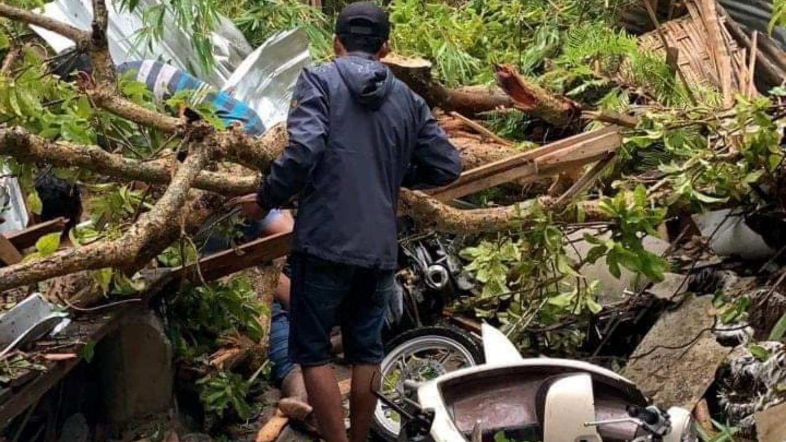 Korban Tewas Tertimpa Pohon di Jolotundo Mojokerto Berjumlah 3 Orang