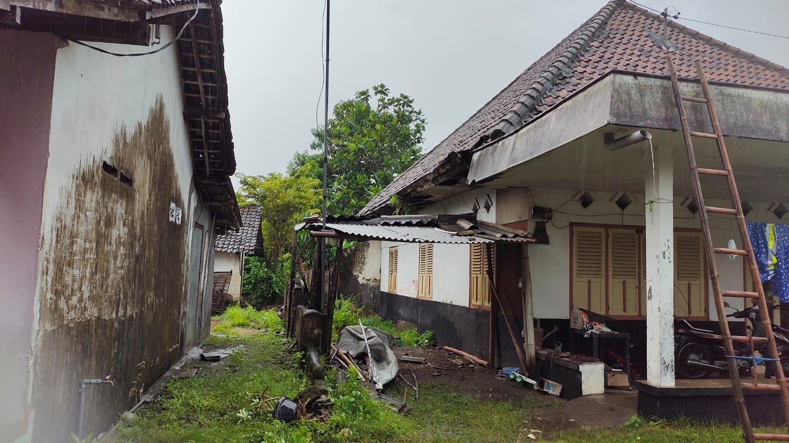 Cuaca Ekstrem Dampak La Nina Akibatkan Bencana Alam di Jombang