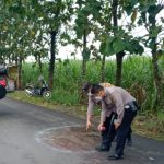 Kecelakaan Karambol Libatkan 4 Motor di Jombang, Satu Orang Meninggal