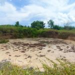 Hati-hati! Ada Fenomena Tanah Ambles di Tuban