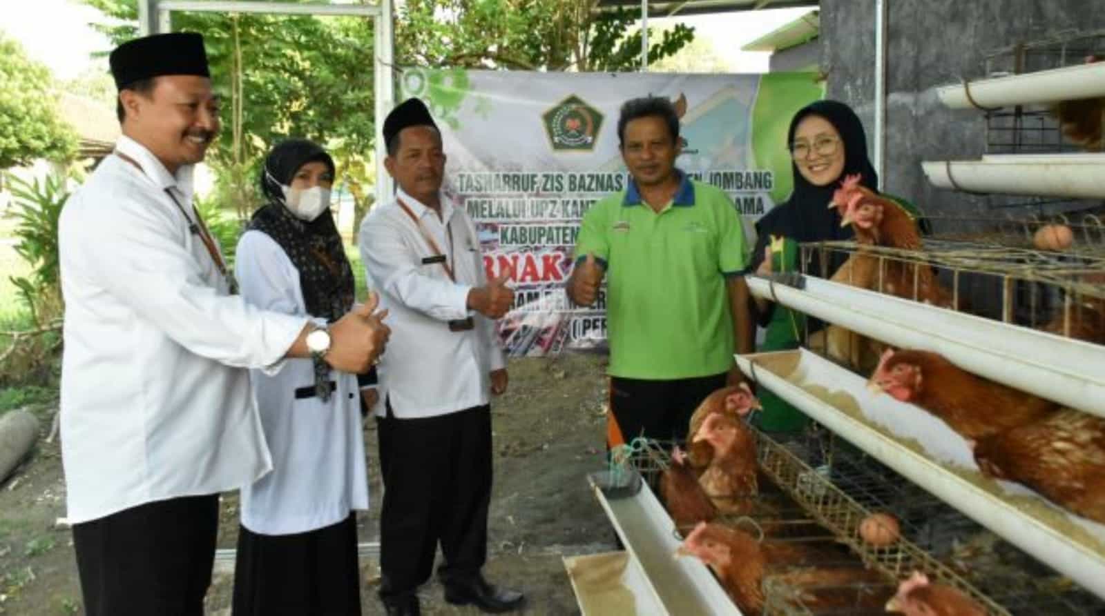 Ternak Ayam Tingkatkan Ekonomi Masyarakat Jombang Skala Rumah Tangga