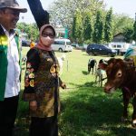 Hewan Kurban Yang Disalurkan di Jombang Pada Iduladha 2022 Bertambah