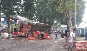 Truk Pengangkut Ayam Terguling di Jalan Soekarno-Hatta Jombang