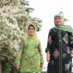 Khofifah Bersama Mundjidah Nikmati Bunga Tabebuya di Jombang