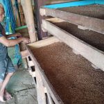 Peternak Ulat Pria di Jombang 12 Tahun Bertahan Geluti Usaha Ternak Ulat Kandang