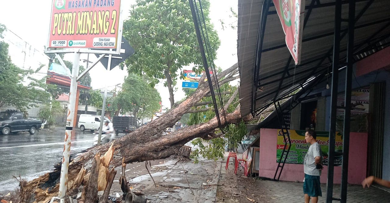 Hujan Disertai Angin Akibatkan Pohon Tumbang Timpa Warung di Jombang