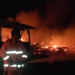 Kebakaran Kandang di Tuban, Lima Ribu Ekor Ayam Mati Terpanggang