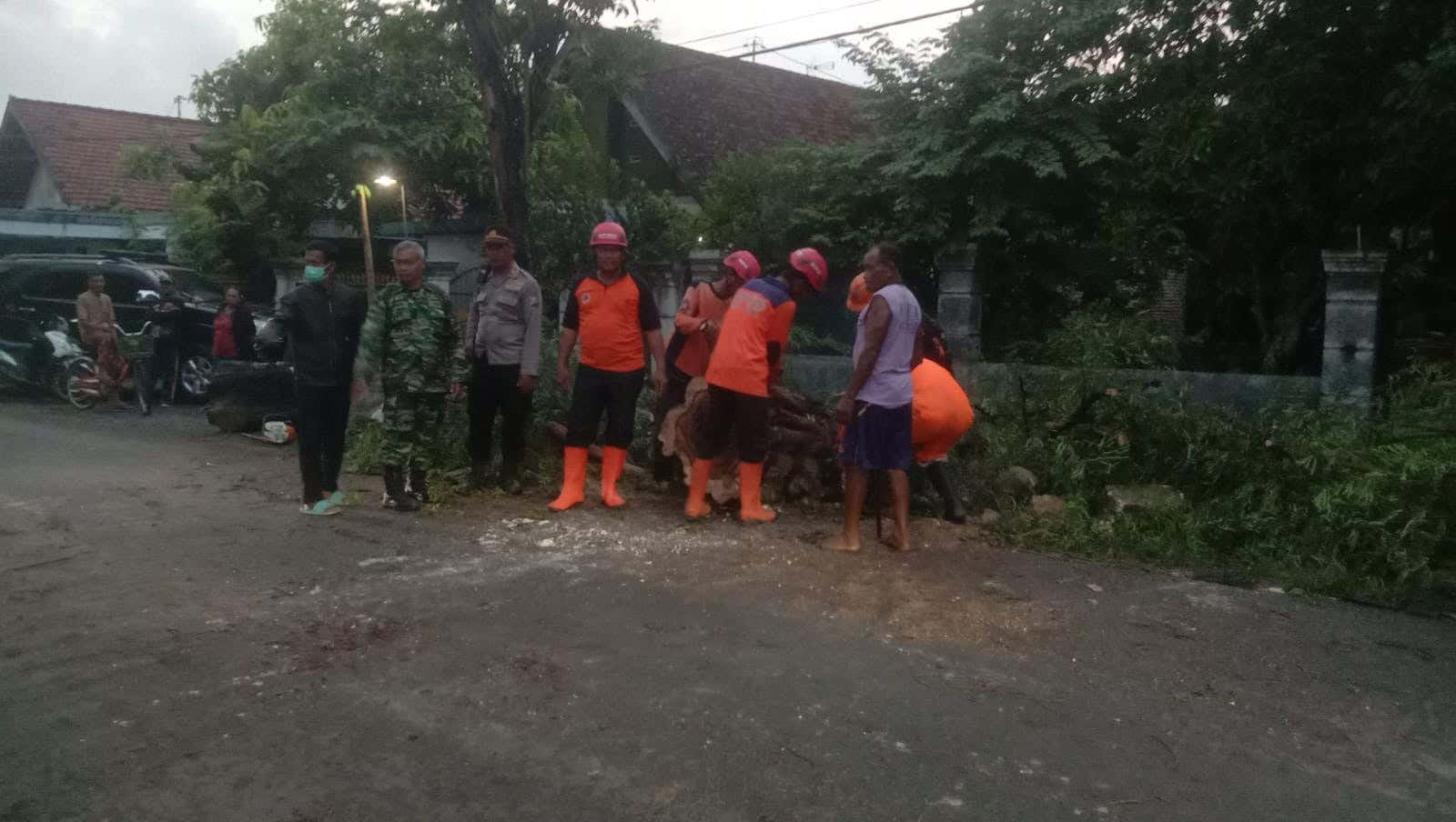 Pohon Tumbang Timpa Pengendara Motor Hingga Tewas di Patianrowo Nganjuk