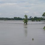 Sungai Bengawan Solo Meluap, 4 Kecamatan di Tuban Terendam Banjir, Semoga Segera Surut