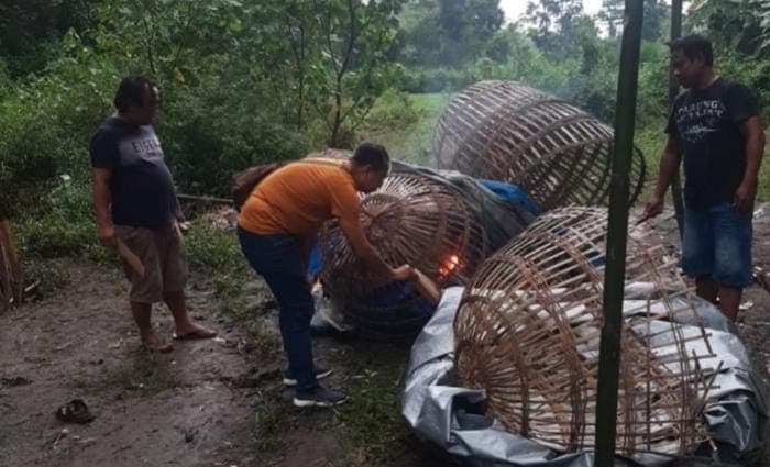 Tempat Sabung Ayam di Gudo Jombang Digerebek Polisi, Dua Orang Ditangkap