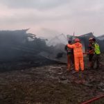 Kebakaran Kandang Ayam Pokphand Jombang Akibatkan 10.000 Ekor Mati Gosong