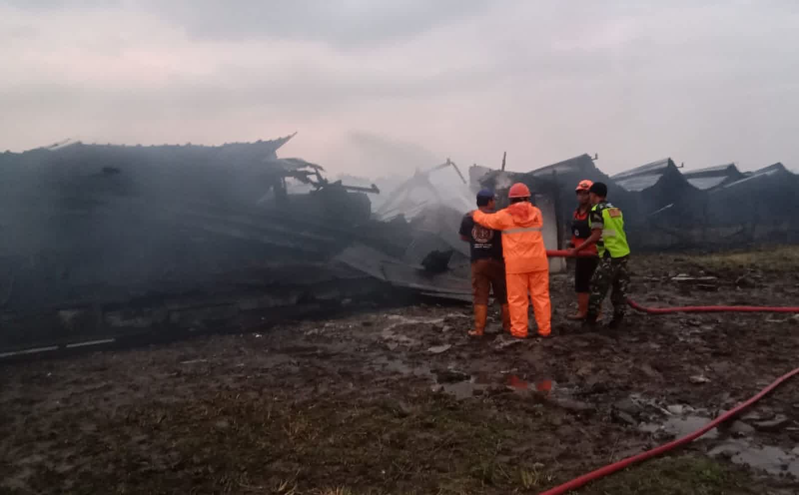 Kebakaran Kandang Ayam Pokphand Jombang Akibatkan 10.000 Ekor Mati Gosong